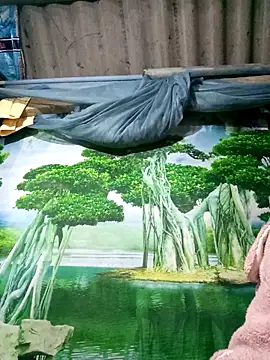 MaiHoa69 online show from November 15, 2025, 2:54 pm