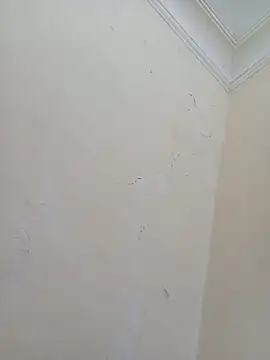 Snapshot of Sondosa3 chatting on October 5, 2025, 8:43 pm Sondosa3 online show from October 5, 2025, 8:43 pm