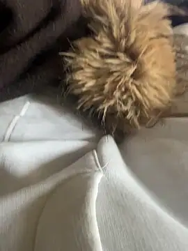 LesAmantsAE2 online show from February 15, 2026, 10:14 am