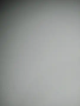 delaylacruz online show from October 17, 2025, 11:23 am