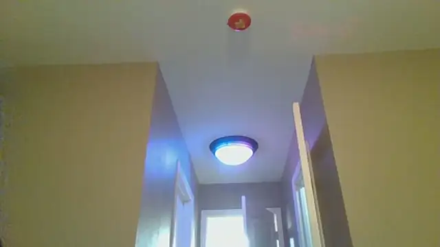 LeeCox online show from January 10, 2026, 10:43 am