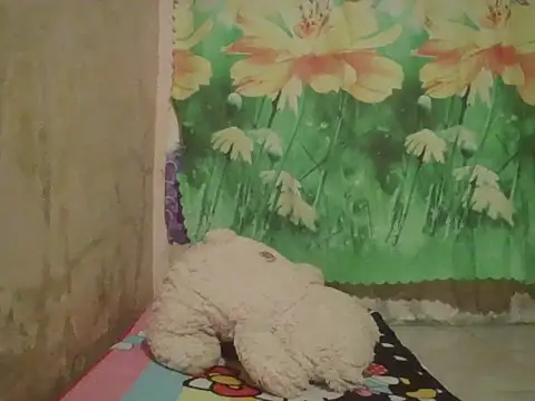 Snapshot of sexymorenal18 chatting on September 27, 2025, 1:39 pm sexymorenal18 online show from September 27, 2025, 1:39 pm