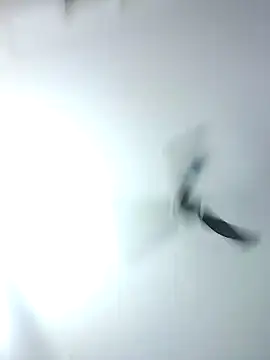 Kehar punjaban online show from September 28, 2025, 7:37 am