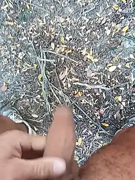 pegaso369 online show from October 15, 2025, 2:14 pm