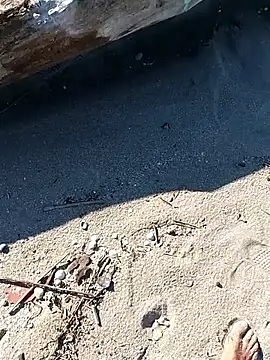 pegaso369 online show from October 3, 2025, 1:56 pm