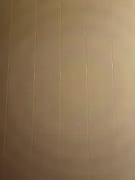 pegaso369 online show from December 16, 2025, 6:56 pm