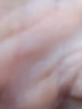 pegaso369 online show from March 7, 2026, 11:16 am