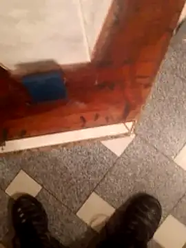 vergonvenco online show from March 10, 2026, 5:44 am