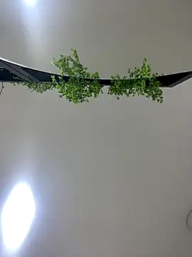 Snapshot of CharlotteBrownn_ chatting on October 25, 2025, 3:17 am CharlotteBrownn  online show from October 25, 2025, 3:17 am