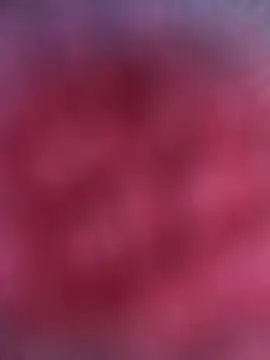 Funny Karina online show from November 18, 2025, 10:18 am