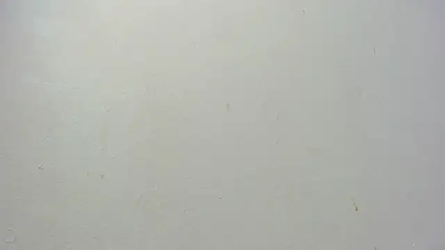 dominic de luca online show from November 7, 2025, 2:38 am