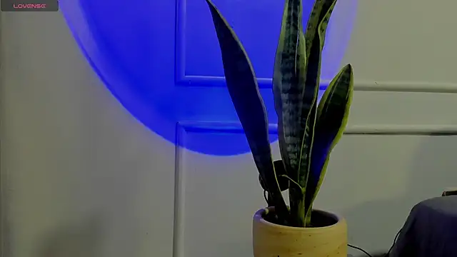 Ice Princess  online show from October 2, 2025, 4:38 am