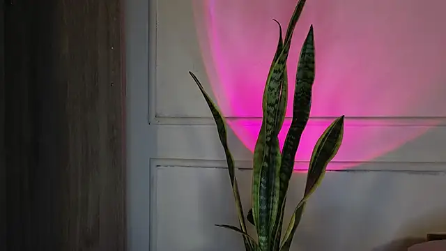 Ice Princess  online show from October 3, 2025, 5:20 am