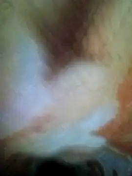 HOT-MUNDA online show from December 17, 2025, 1:32 am