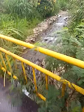 Snapshot of NoahLux chatting on September 20, 2025, 12:32 pm NoahLux online show from September 20, 2025, 12:32 pm