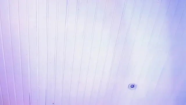 novaross online show from October 8, 2025, 8:09 pm