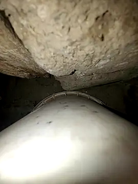 princexdcs online show from February 10, 2026, 9:14 pm