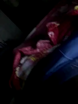 gaabpxn online show from November 11, 2025, 4:29 am