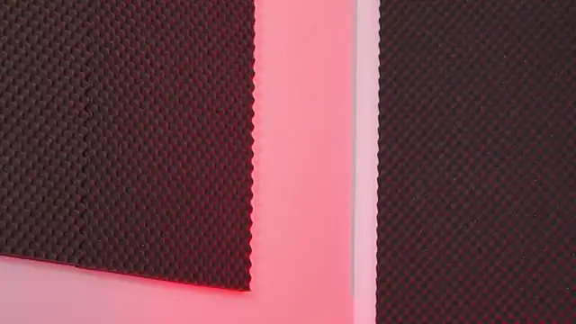 Snapshot of EllieRedd chatting on December 21, 2025, 5:20 am EllieRedd online show from December 21, 2025, 5:20 am