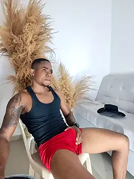 Snapshot of liambolt chatting on October 9, 2025, 12:33 am liambolt online show from October 9, 2025, 12:33 am