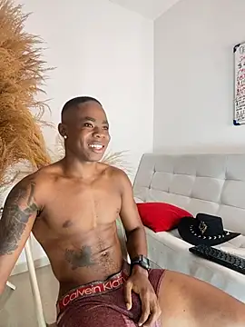 Snapshot of liambolt chatting on October 13, 2025, 11:38 pm liambolt online show from October 13, 2025, 11:38 pm