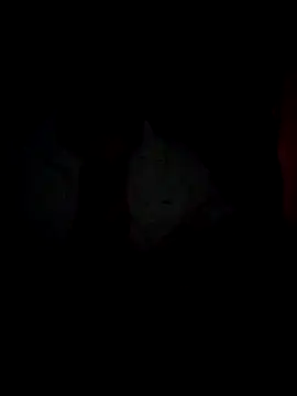 Chathutharu online show from February 20, 2026, 10:01 pm