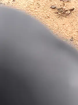 Snapshot of rajdehli chatting on October 2, 2025, 10:51 am rajdehli online show from October 2, 2025, 10:51 am