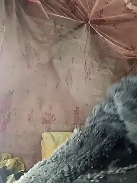 Snapshot of priyastrip314 chatting on January 18, 2026, 5:16 pm priyastrip314 online show from January 18, 2026, 5:16 pm