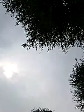 Desiandaj online show from November 28, 2025, 4:01 am