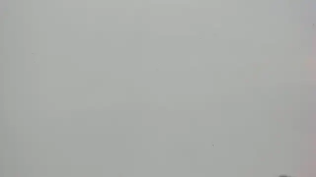 Saammy 17 online show from October 7, 2025, 8:10 pm