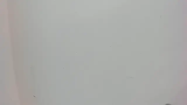 Saammy 17 online show from October 3, 2025, 7:59 pm