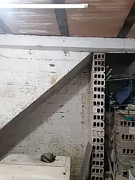 Snapshot of hoteder chatting on October 7, 2025, 11:55 am hoteder online show from October 7, 2025, 11:55 am