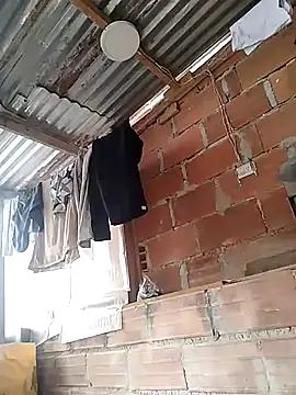 hoteder online show from November 5, 2025, 12:41 pm