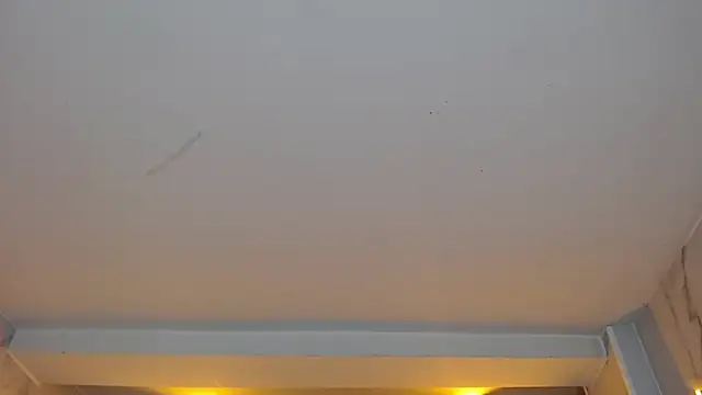 Snapshot of dania_b_ chatting on October 19, 2025, 3:09 am dania b  online show from October 19, 2025, 3:09 am