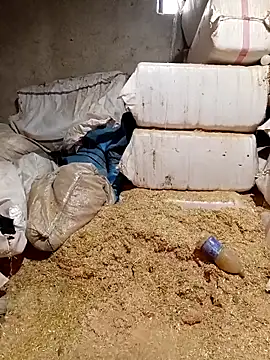 ezgi2545 online show from April 2, 2026, 10:44 am