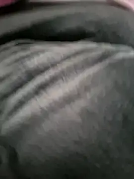 Monella52 online show from February 25, 2026, 2:28 pm