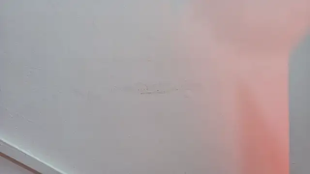 Lizbeth Rouse online show from October 24, 2025, 10:36 am