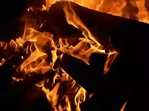 Snapshot of parca13 chatting on November 12, 2025, 5:00 am parca13 online show from November 12, 2025, 5:00 am