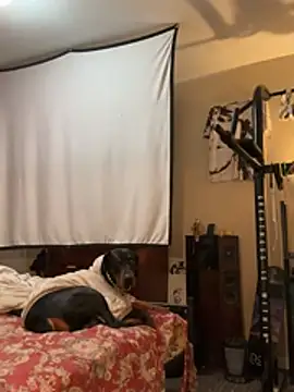 KeYBuMp323 online show from February 13, 2026, 4:56 am