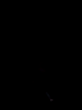 cumitted online show from November 2, 2025, 2:16 am