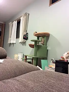 aki 2727 online show from October 10, 2025, 12:17 pm