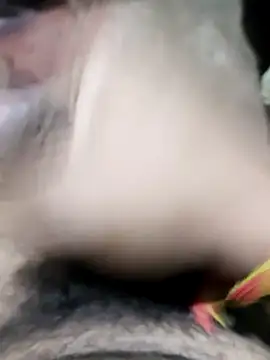 modelmanr online show from April 8, 2026, 6:31 pm