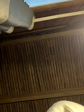 EmLy02 online show from December 16, 2025, 10:08 am