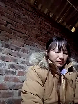 Mini3333 online show from November 18, 2025, 4:49 am