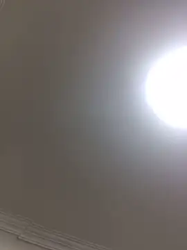 Snapshot of HaltBrand chatting on October 21, 2025, 10:42 pm HaltBrand online show from October 21, 2025, 10:42 pm