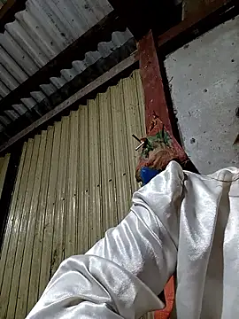 adbosa 00 online show from September 10, 2025, 3:22 pm