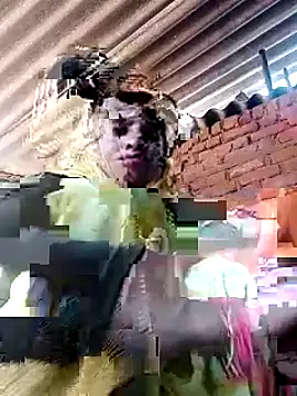 Snapshot of Soniya_pandit chatting on September 9, 2025, 3:49 am Soniya pandit online show from September 9, 2025, 3:49 am