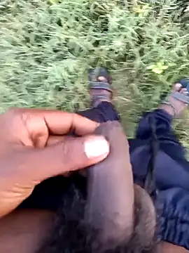 dolphiinn online show from February 26, 2026, 1:16 am