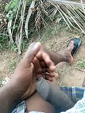 dolphiinn online show from April 13, 2026, 2:59 am