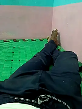 dolphiinn online show from September 23, 2025, 4:52 am